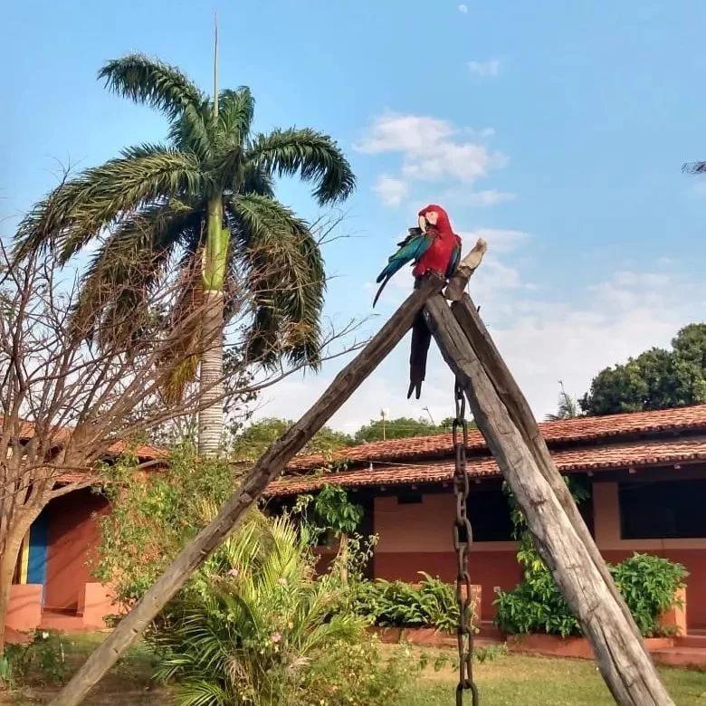 Pousada Estacao Lunar - Terra Ronca Sao Domingos de Goias エクステリア 写真